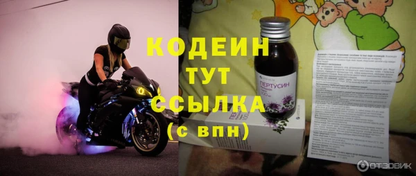 PSILOCYBIN Лагань