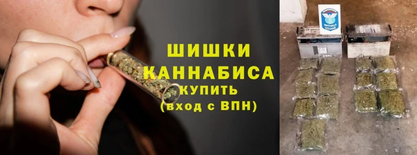 PSILOCYBIN Лагань