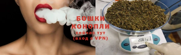 PSILOCYBIN Лагань