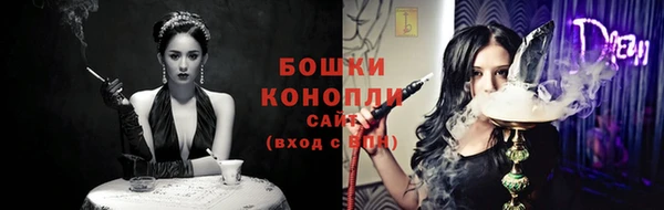 индика Лиски