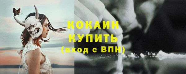 PSILOCYBIN Лагань
