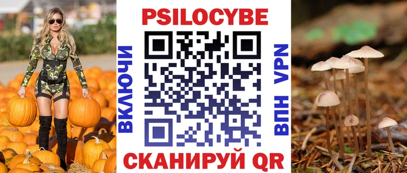 Псилоцибиновые грибы Psilocybe  Купить где  Клин 